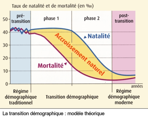 population-transition-demographique-theorique-graphique